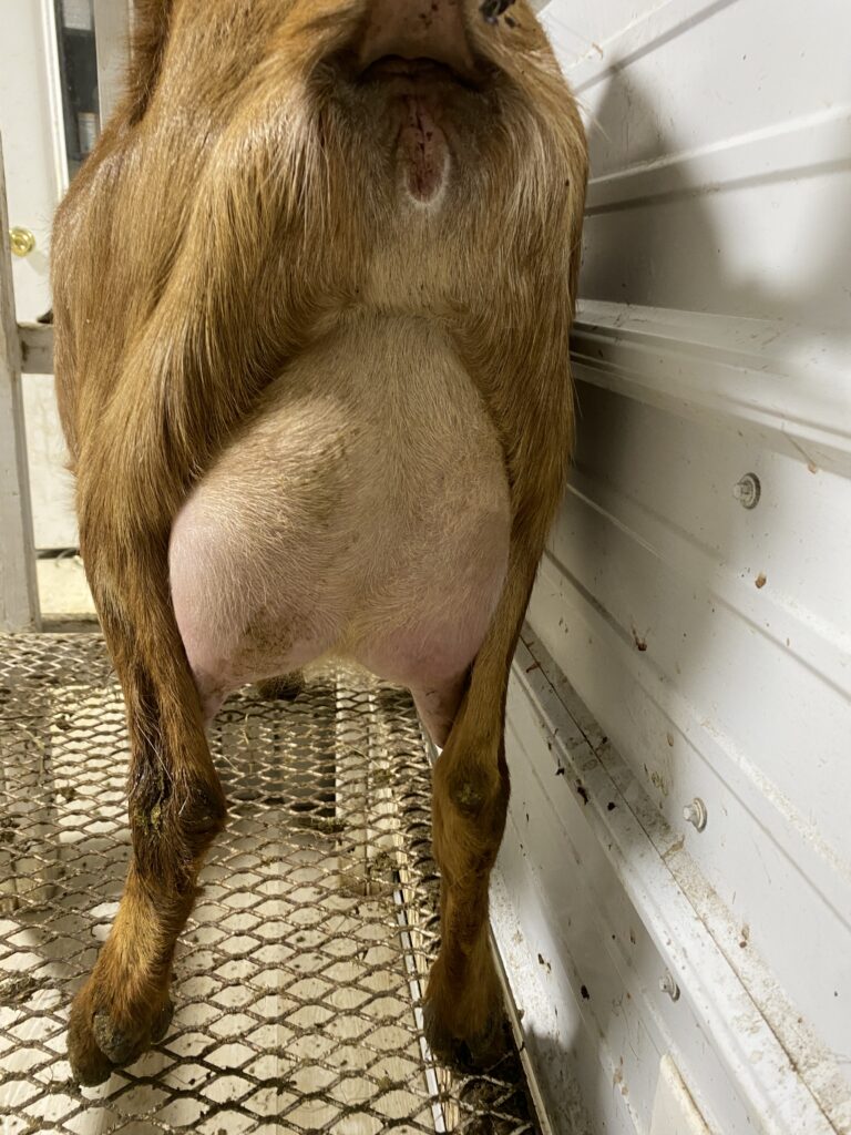 First 12-hour separation