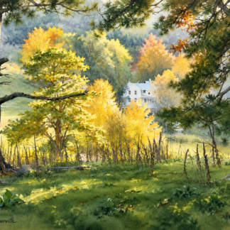 Art Cards & Prints