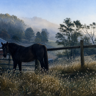 Nippy Mellow Mists