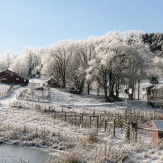 Icy Farm